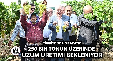 Denizli, üzüm üretiminde Türkiye’de 4. sırada