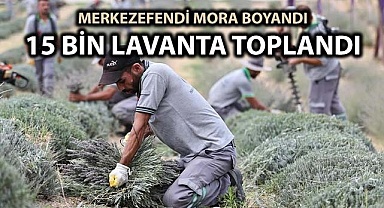Merkezefendi mora boyandı