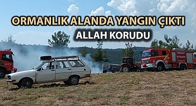 Pamukkale’de ormanlık alanda yangın çıktı