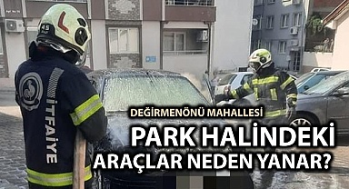 Park halindeki araçta yangın çıktı