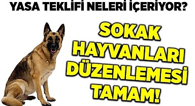 Sokak hayvanları düzenlemesi tamam!