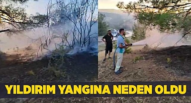 Yıldırım yangına neden oldu