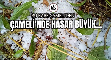 Çameli’nde şiddetli dolu ekili arazilere zarar verdi
