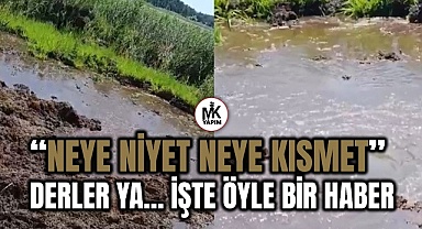 Temizlik yaparken su kaynağı bulundu