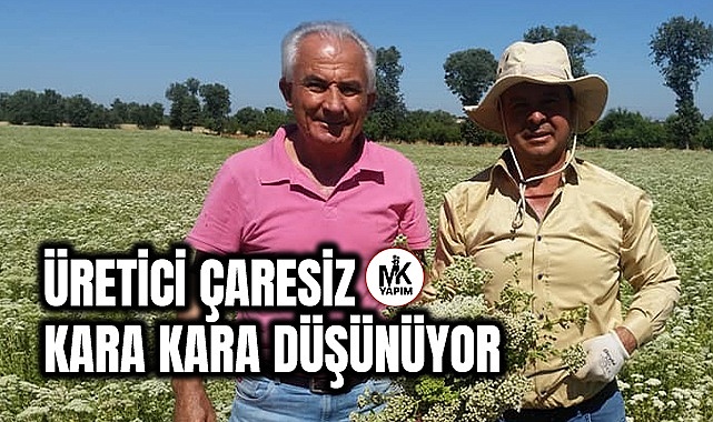 Üretici çaresiz kara kara düşünüyor