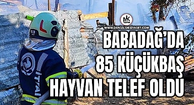 Ahırda çıkan yangında 85 küçükbaş hayvan telef oldu