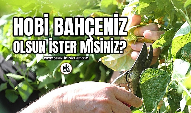 Bu şartları taşıyorsanız sizin de hobi bahçeniz olabilir
