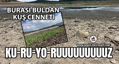 Buldan’da kuş cenneti can çekişiyor