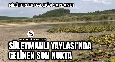 Buldan Süleymanlı Yayla Gölü kuraklığa teslim oluyor