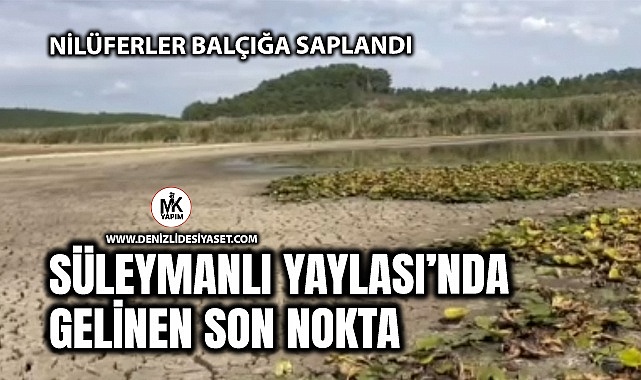 Buldan Süleymanlı Yayla Gölü kuraklığa teslim oluyor