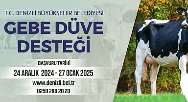 KÖYE DÖNÜŞ HAYAL DEĞİL