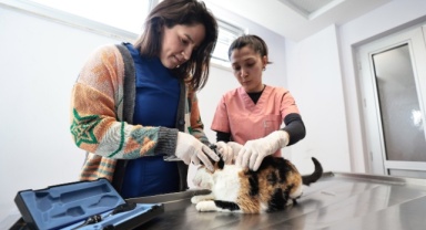 24 Bin 179 Can Dostu sağlığına kavuşturdu