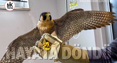 Yaralı akdoğan hayata döndürdü