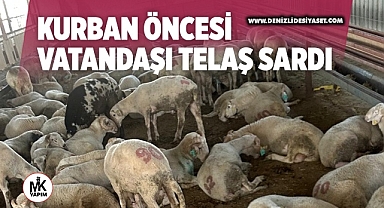 Kurban yaklaştı vatandaşı telaş sardı