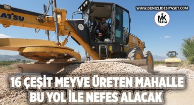 Bu mahalle, 16 çeşit meyve üretiyor