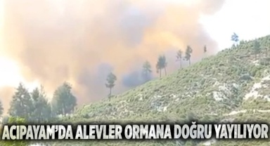 Acıpayam'da ev yangını ormana sıçradı