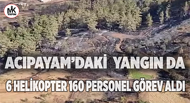 Acıpayam'daki yangın kontrol altına alındı