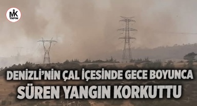 Denizli'nin Çal ilçesinde gece boyunca süren yangın söndürüldü