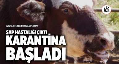 Şap hastalığı çıktı Denizli’de karantina başladı
