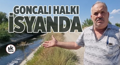 Bu derede bir dönem yüzüp balık avlıyorlardı