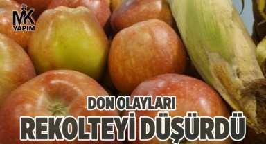 Don olayları Çivril'de rekolteyi düşürdü