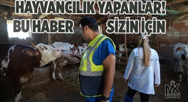 Hayvancılık yapanlar! Bu haber sizin için