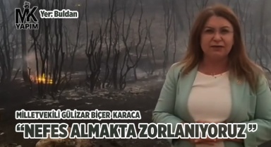 Milletvekili Karaca Orman Bakanı'na seslendi