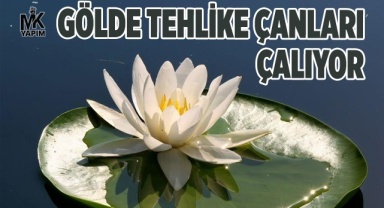 Başkan acı gerçeği açıkladı gölde tehlike çanları çalıyor