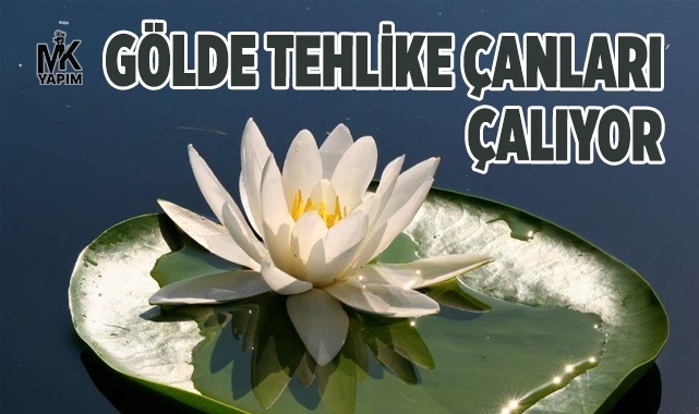 Başkan acı gerçeği açıkladı gölde tehlike çanları çalıyor