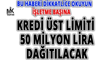 İşletme başına kredi üst limiti 50 milyon tl dağıtılacak