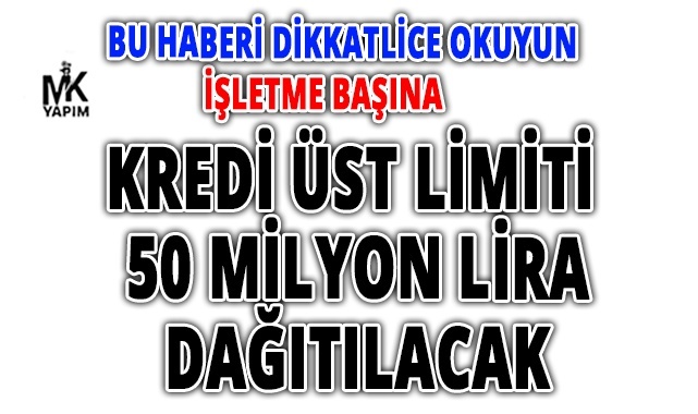 İşletme başına kredi üst limiti 50 milyon tl dağıtılacak