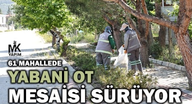 61 mahallede yabani otlar temizlenecek