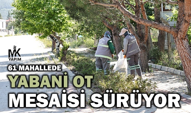 61 mahallede yabani otlar temizlenecek