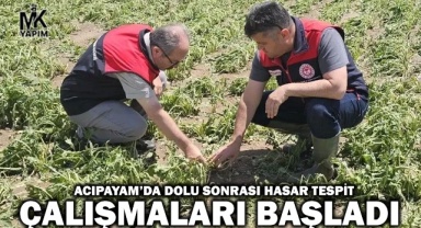 Acıpayam’da dolu sonrası hasar tespit çalışmaları başladı