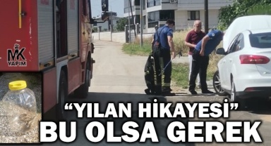 Denizli itfaiyesi bu kez yılan kurtardı