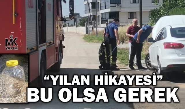 Denizli itfaiyesi bu kez yılan kurtardı