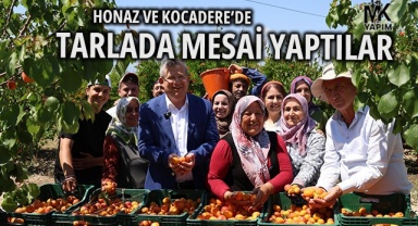 Hasat zamanında üreticiler ile kayısı ve kiraz topladılar