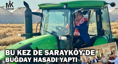 Sarayköy’de buğday hasadı yaptılar