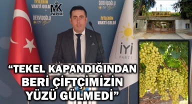 Demirhan: Tekel kapandığından beri çiftçimizin yüzü gülmedi