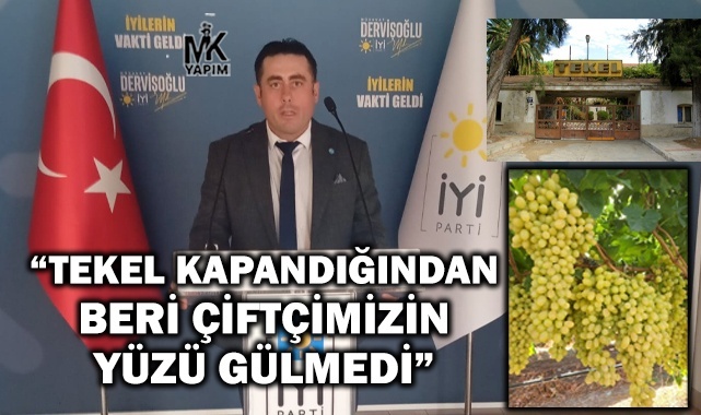 Demirhan: Tekel kapandığından beri çiftçimizin yüzü gülmedi