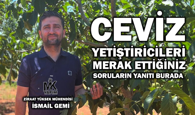 Ceviz Yetiştiricileri: PANİĞE kapılmayın