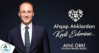 PAMUKKALE'DE AHŞAP ATIKLAR KEDİLERE EV OLUYOR