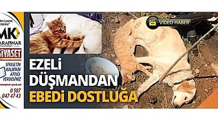 Ezeli düşmandan ezeli dostluğa